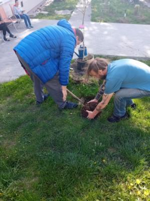 Proměna zahrady sociálně terapeutické dílny