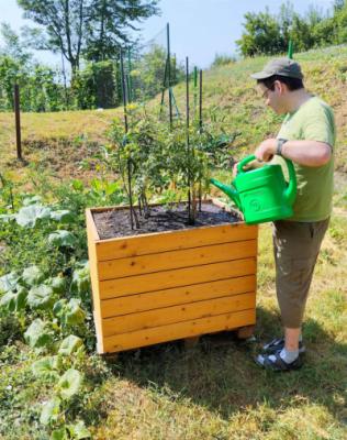 Okénko do Sociálně terapeutické dílny