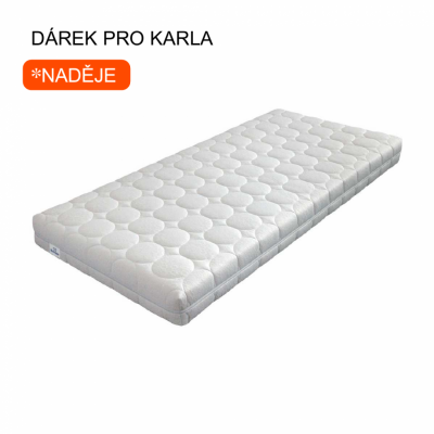 Dárek pro Karla