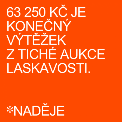 42 UHRAZENÝCH ŽIDLÍ PRO KLIENTY SOCIÁLNĚ TERAPEUTICKÝCH DÍLEN