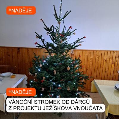 VÁNOČNÍ STROMEK JAKO DÁREK OD JEŽÍŠKOVÝCH VNOUČAT