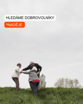 HLEDÁME DOBROVOLNÍKY