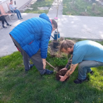 Proměna zahrady sociálně terapeutické dílny