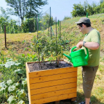 Okénko do Sociálně terapeutické dílny