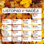 PROGRAM LISTOPAD