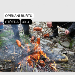 OPÉKÁNÍ BUŘTŮ